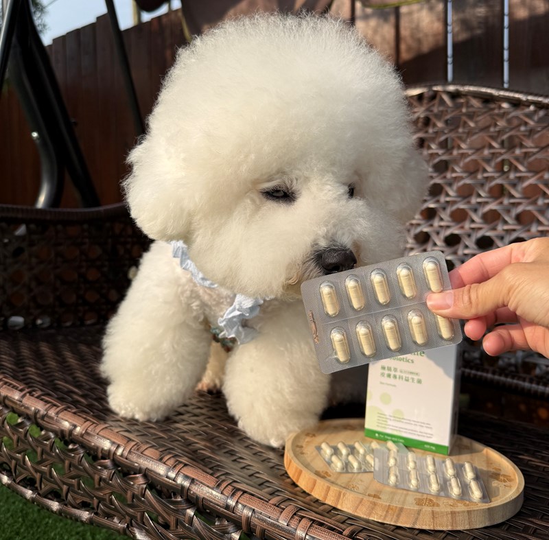 女人知己試用大隊,口碑行銷,部落客行銷,嬌寵醫生 極精萃 皮膚專科益生菌,保證新鮮活菌100億,皮膚保健益生菌,好吸收,幫助維持消化道機能,維持健康,可撥開膠囊使用以下方式均勻攪拌後，予以犬貓食用,●拌飼料　●拌罐頭　●拌鮮食　●拌肉泥,品牌創辦人是獸醫師，親自研發，吃得安心.放心,寵物預防醫學第一品牌,拒絕添加不必要成分